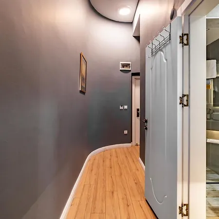 Selvese Suites, Serviced Living In Galata Apart Otel İstanbul