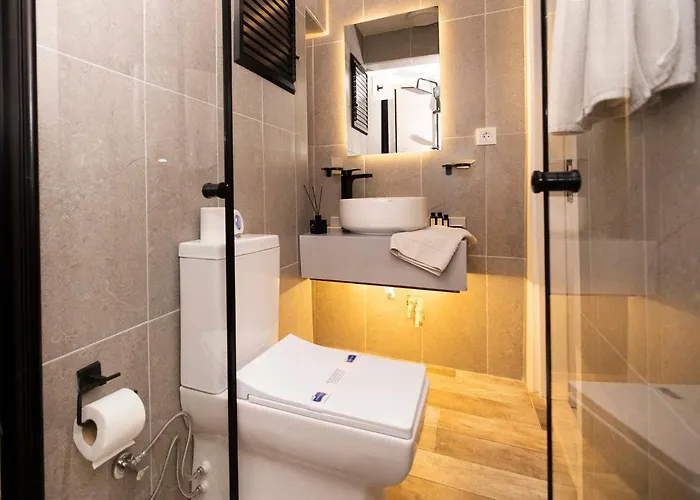 公寓式酒店 Selvese Suites, Serviced Living In Galata 伊斯坦布尔
