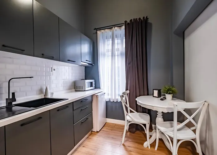 公寓式酒店 Selvese Suites, Serviced Living In Galata 伊斯坦布尔
