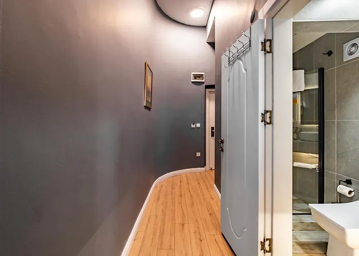 Selvese Suites, Serviced Living In Galata 公寓式酒店 伊斯坦布尔
